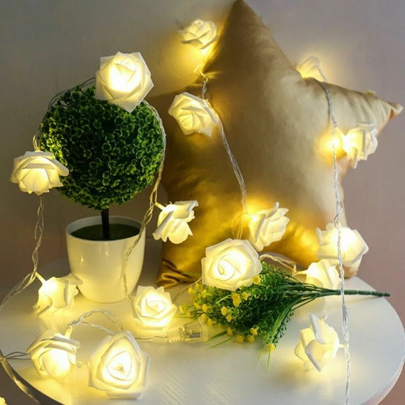 NEW! WHITE AESTHETIC PLASTIC ROSE STRING LIGHTS - Picture 2 of 7